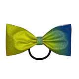 Bright Rainbow Ombre Glitter Bow